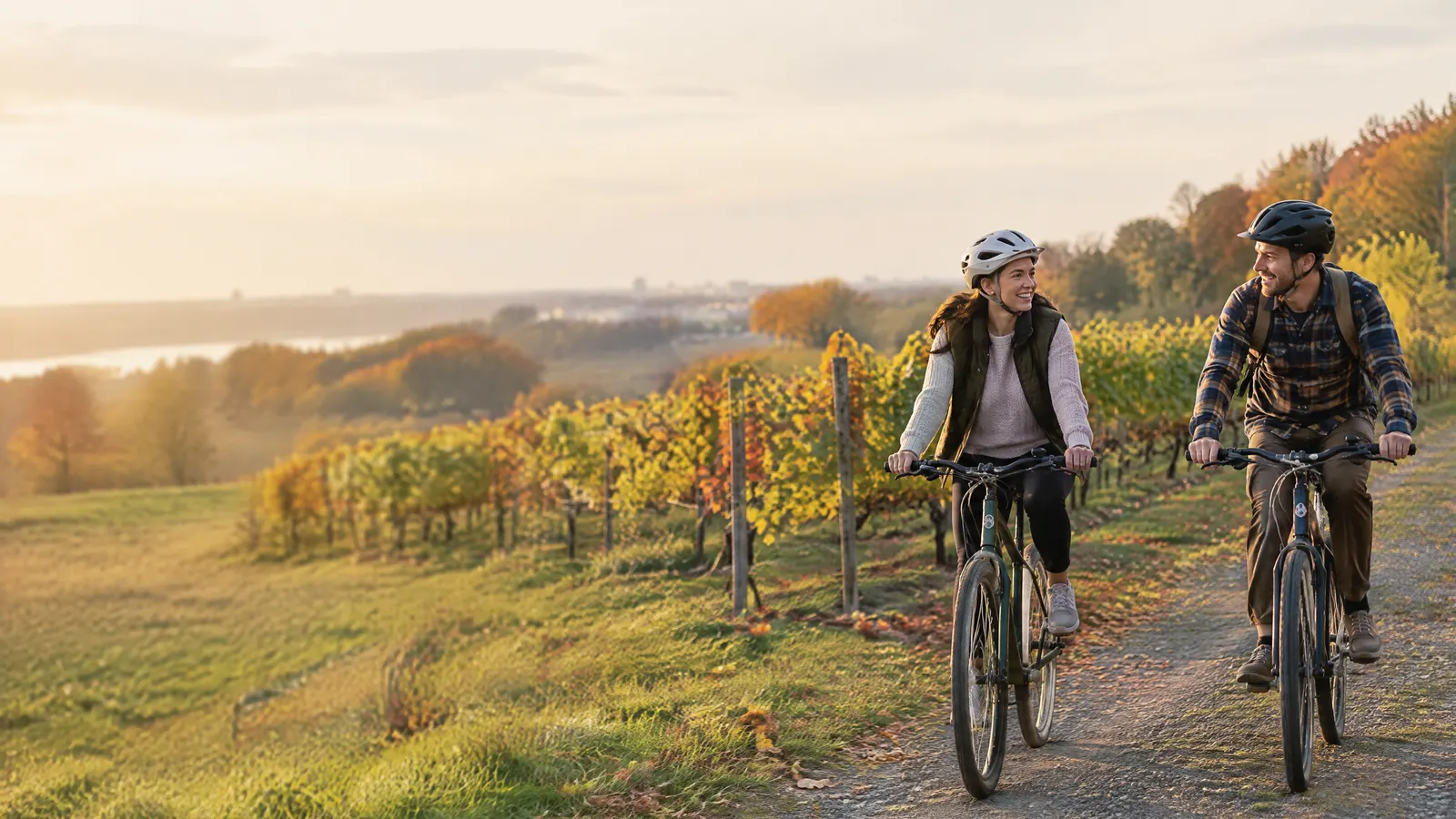 A couple cycling through vineyards near St. Catharines in autumn.